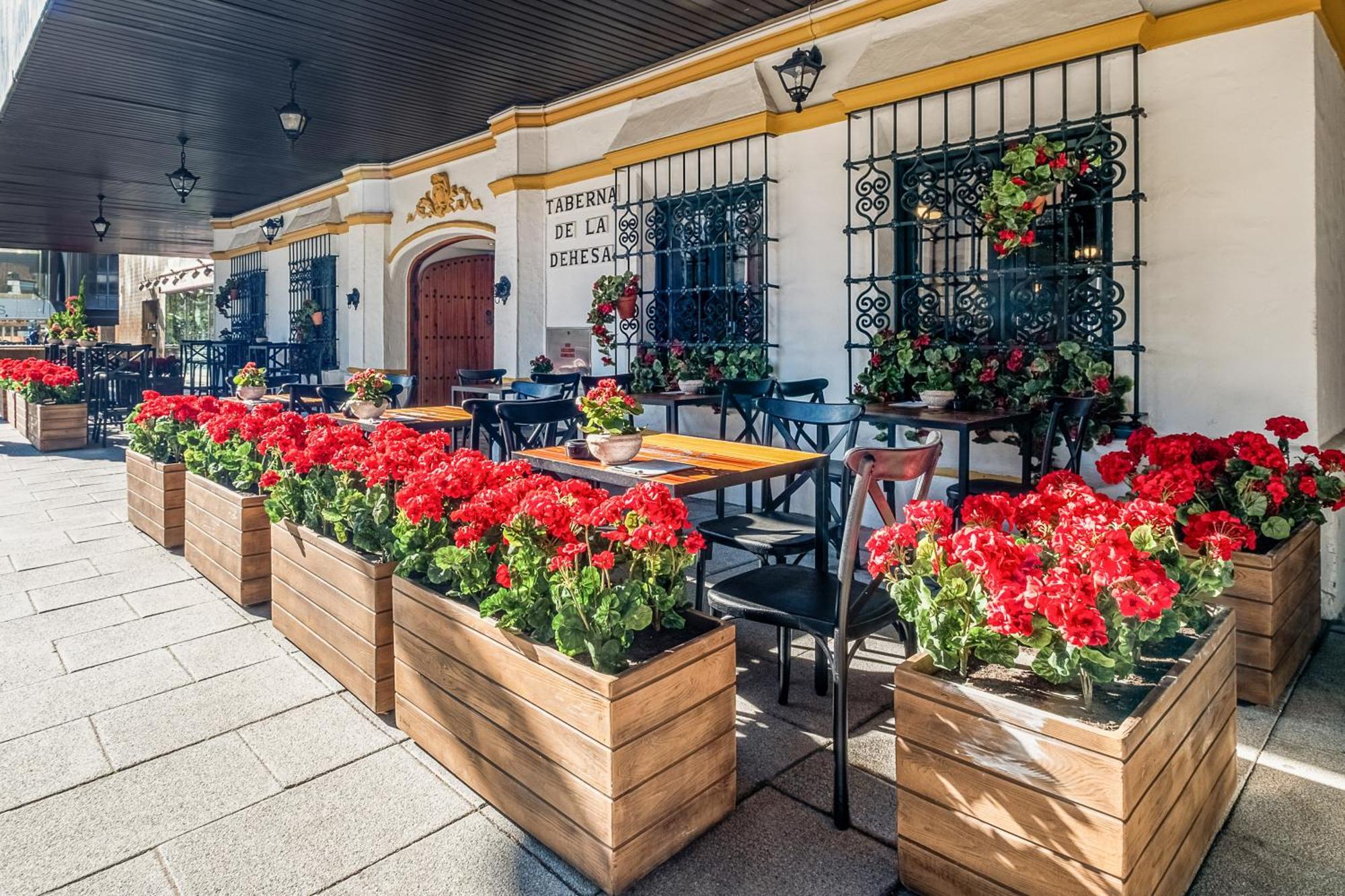 Melia Lebreros Hotel Seville Exterior photo